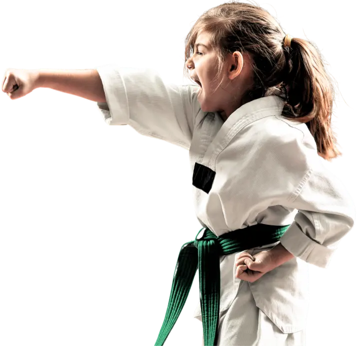 Descubre el mejor Taekwondo en Palafolls